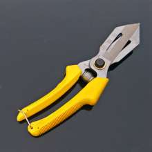 knife. New garlic special scissors. Garlic shears. Garlic shears. A lot of cuts. Garlic knife. Garlic special scissors