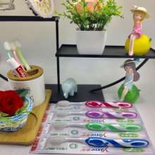 Factory direct genuine three smile company Ya Xue 5008 colorful green leaves full touch deep clean soft silk brush hair soft toothbrush