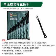 Bo Shi Electrophoresis complete set of plum wrenches eight-piece set ten-piece open-end wrenches
