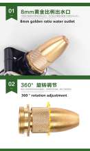 Pilot Bullet Pagoda High-Pressure Water Gun Pagoda Inline Nipple High-Pressure Water Gun Car High-Pressure Water Gun Flush Watering High-Pressure Gun Car Wash Water Gun High-Pressure Water Gun Shower