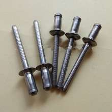 304 stainless steel single-drum pull rivet