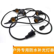 Outdoor waterproof dragon fruit plant fill light string line E26 / E27 screw port IP65 waterproof screw port light string