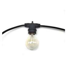 Outdoor waterproof dragon fruit plant fill light string line E26 / E27 screw port IP65 waterproof screw port light string