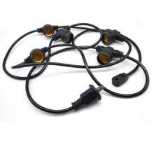 Outdoor waterproof dragon fruit plant fill light string line E26 / E27 screw port IP65 waterproof screw port light string
