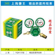 Shockproof Propane Meter YQW-03 Type Propane Pressure Reducer with Leather Case Shockproof and Shockproof Oxygen Meter