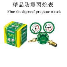 Shockproof Propane Meter YQW-03 Type Propane Pressure Reducer with Leather Case Shockproof and Shockproof Oxygen Meter