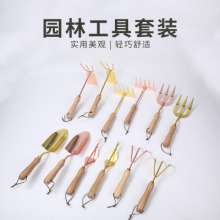 Shuangjie SJ-6030 Garden Tool Set. Flower Planting Tool. Mining Shovel. Hoe. Garden Tool. Can Support Single Selling Set Can Support Customization
