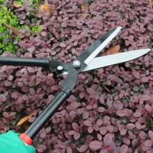 Lawn Shears Garden Flowers and Trees Pruning Shears