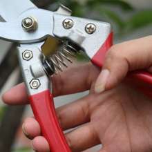 Factory direct sale fruit tree shears pruning shears rough branch shears garden shears household potted branch shears gardening tools