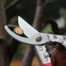 Factory direct sale fruit tree shears pruning shears rough branch shears garden shears household potted branch shears gardening tools