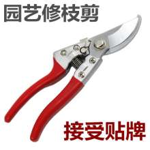 Factory direct sale fruit tree shears pruning shears rough branch shears garden shears household potted branch shears gardening tools