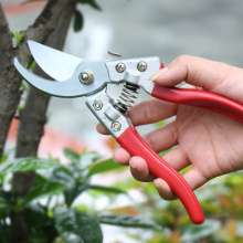 Factory direct sale fruit tree shears pruning shears rough branch shears garden shears household potted branch shears gardening tools