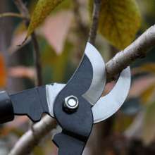 Factory direct gardening shears pruning shears fruit tree shears thick branch shears branch shears garden tools flower pruning shears