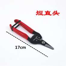 Gardening pruning shears, fruit picking shears, sprout shears, pruning and thinning fruit shears, fruit picking shears, grape shears, fruit thinning shears, gardening tools