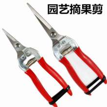 Fruit picking shears Picking fruit picking thin fruit shears grape shears stainless steel pruning shears flower arranging shears orange shears