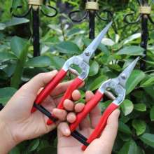 Fruit picking shears Picking fruit picking thin fruit shears grape shears stainless steel pruning shears flower arranging shears orange shears