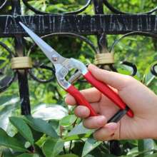 Fruit picking shears Picking fruit picking thin fruit shears grape shears stainless steel pruning shears flower arranging shears orange shears