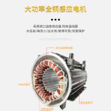 跨境出口越南 家用级220v高压汽车清洗机   汽车清洗机 RS2便携式手提式洗车机