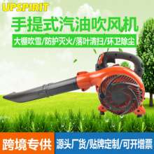 Cross-border export greenhouse snow blower. Blower. hair dryer . Gasoline garden tools, leaf blower, portable fire extinguisher, soot blower