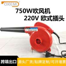 Power tool hair dryer. Suction the hair dryer. Computer soot blowing and dust removal foreign trade exports with high power across borders. Electric blower
