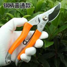 Meike Scissors Pruning Shears 8 Inch Branch Shears Fruit Tree Shears Flower Shears Garden Shears Plant Pruning Garden Shears