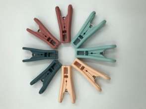 The new multifunctional clothes-drying plastic wind-proof drying clip strong non-slip clothes clip drying socks underwear small clip