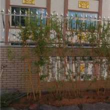 The manufacturer produces stainless steel stamping parts. Horn spear head. Spear point Cone spear head. Guardrail spear head