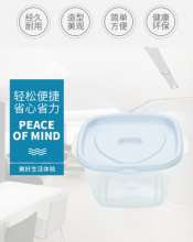 Plastic square crisper, transparent refrigerator storage box, lunch box, kitchen food storage box manufacturer