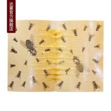 Dachau X6 sticky fly board, fly glue, fly trap stick, fly paper, fly catcher manufacturer