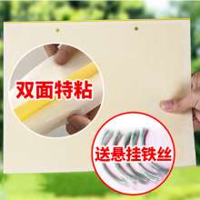 Dachau Double-sided Sticky Insect Board Yellow Board Insect Insect Board Paper Sticker Melon Fruit Fly Greenhouse Dip Mosquitoes to Kill Small Flies Killing Thrips