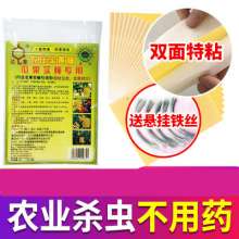 Dachau Double-sided Sticky Insect Board Yellow Board Insect Insect Board Paper Sticker Melon Fruit Fly Greenhouse Dip Mosquitoes to Kill Small Flies Killing Thrips