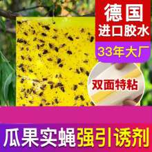 Dachau Double-sided Sticky Insect Board Yellow Board Insect Insect Board Paper Sticker Melon Fruit Fly Greenhouse Dip Mosquitoes to Kill Small Flies Killing Thrips