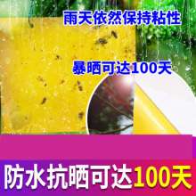 Dachau Double-sided Sticky Insect Board Yellow Board Insect Insect Board Paper Sticker Melon Fruit Fly Greenhouse Dip Mosquitoes to Kill Small Flies Killing Thrips