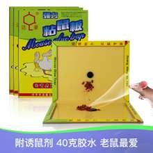 Dachau strong sticky mouse board with fragrance and bait A1# fashion mousetrap factory direct sales