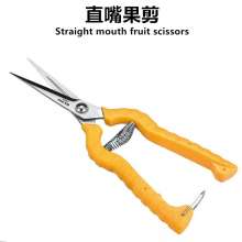 White Tiger Straight Mouth Fruit Shears Fruit Shears Fruit Picking Shears Thin Fruit Shears Grape Shears Stainless Steel Pruning Shears Flower Arrangement Shears Orange Scissors