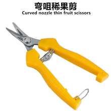 White Tiger Thin Fruit Shears Fruit Shears Fruit Picking Fruit Shears Grape Shears Stainless Steel Pruning Shears Flower Shears Orange Scissors