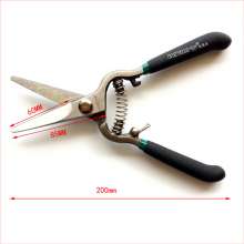 Authentic power of the lion 200mm 8 inch pruner sticky plastic handle scimitar straight mouth sticks scissors Pruning shears cut flowers and fruit trimming scissors cut fruiting W815