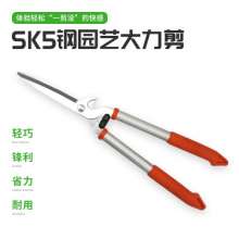 Factory direct sale SK5 flower branch shears straight head thin fruit shears manual branch shears floral garden shears