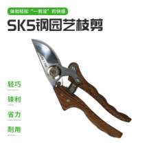 Spot SK5 flower potted pruning shears, medicinal materials, fruit tree pruning shears