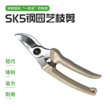 Manufacturer fruit branch shears SK5 branch shears garden shears non-slip and labor-saving manual pruning shears