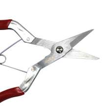 Spot supply dragon fruit shears garden shears SK5 non-slip handle pruning shears