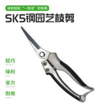 LY2105 Garden Fruit Shears SK5 Tool Steel Gardening Branch Shears Fruit Garden Farmers' Scissors Sharp, lightweight and durable