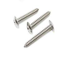 Direct selling 304 stainless steel cross flat head tapping screws wholesale TA cross flat head tapping screws custom large flat tapping. Screw