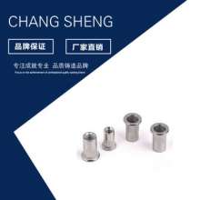 304 stainless steel blind rivet nuts. Screw. Customized flat head rivet nut with hexagon small side