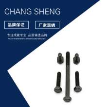 Grade 12.9 high-strength hexagonal bolts. Screws. High-strength blackened hexagonal bolts custom-trimmed outer hexagonal bolts