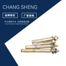厂家批发膨胀螺丝国标膨胀螺栓  膨胀螺丝 爆炸螺丝  拉爆 定制拉爆螺丝爆炸钉爆炸螺丝
