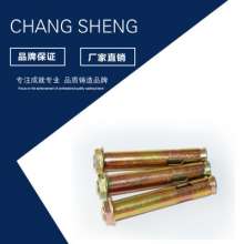 Factory direct sales of flange casing gecko anti-theft net special fastener expansion screw flange casing expansion screw. Screw