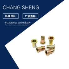 Manufacturers sell blind rivet nuts. Wholesale aluminum blind rivet nuts. Custom flat head rivet nuts with small side pull nuts
