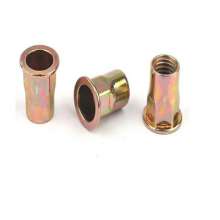 Factory direct countersunk head hex blind rivet nuts. Half hex small head pull female hex pull cap nuts. Blind rivet nuts