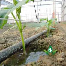 The drip irrigation tape is embedded with patch type drip irrigation pipe tape. Infusion supplies. Production and sales of greenhouse water-saving irrigation hose drip irrigation tape
